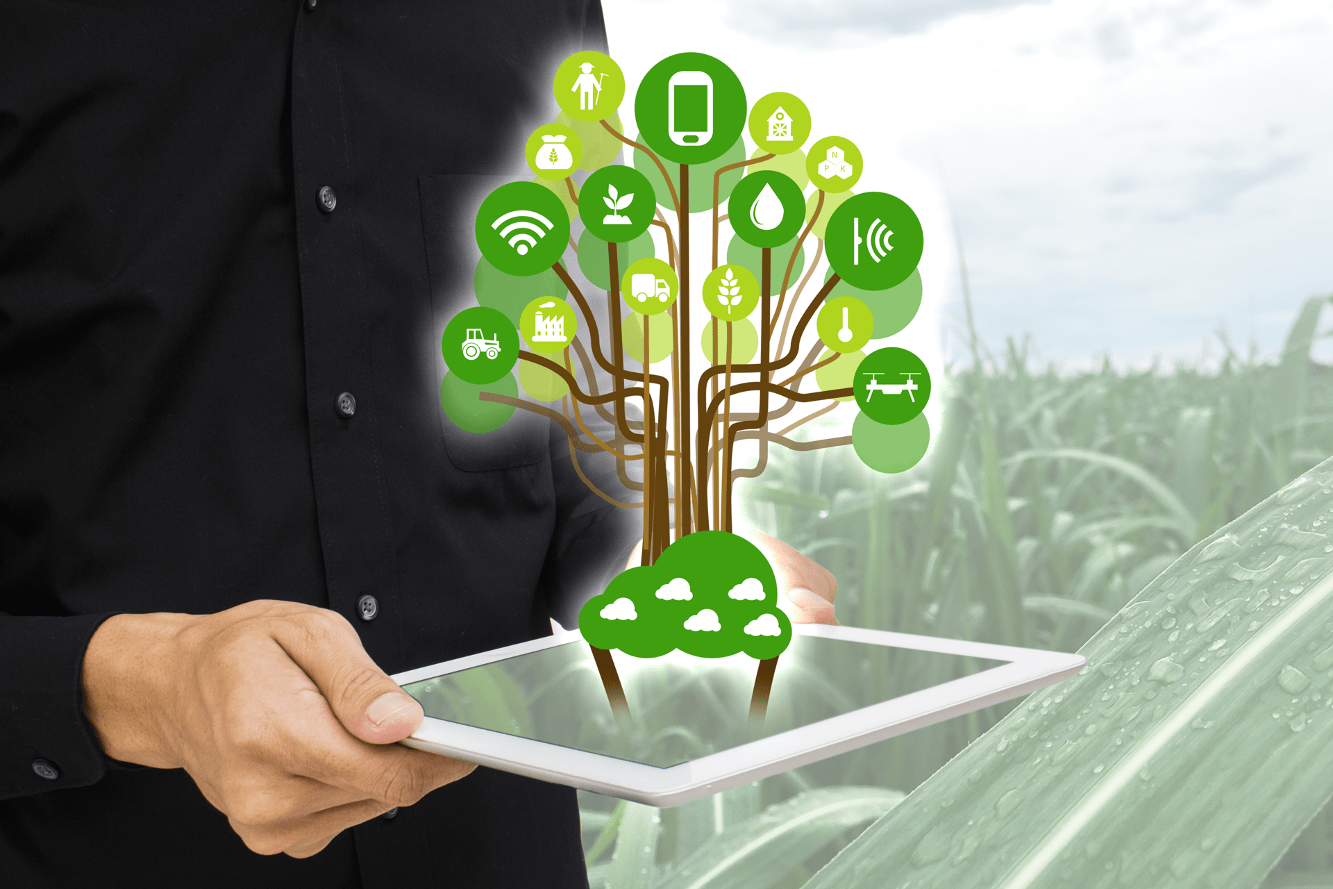 Connectivity & Agriculture: Why IoT Is Key To The Future Of Farming?